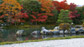 大本山天龍寺 庭園と紅葉