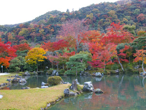 大本山天龍寺 庭園の紅葉